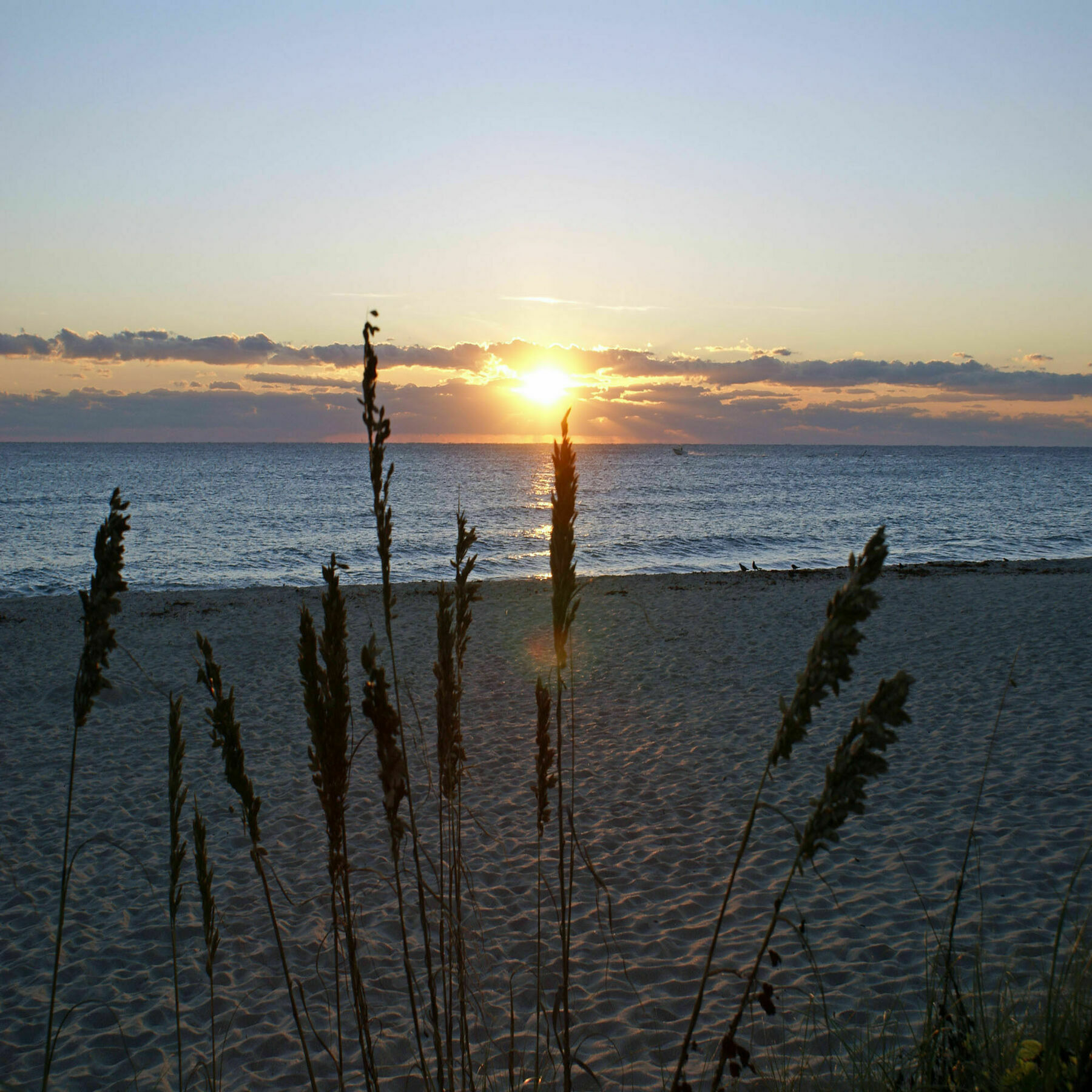 Sabal Palm House Bed And Breakfast Lake Worth Beach Εξωτερικό φωτογραφία